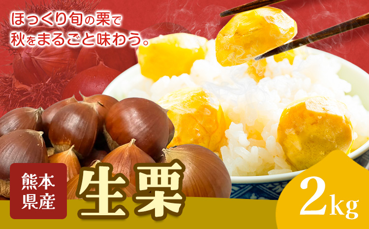 栗 生栗 2kg とくちゃん農園《9月上旬から10月上旬出荷予定》熊本県 菊池市 栗 くり 熊本県産 秋の味覚 果物 くだもの フルーツ デザート ご飯