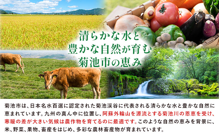 アールスメロン 約2kg×2玉 (約4kg)【養生市場】メロン 果物 フルーツ マスクメロン 九州産 熊本県産 送料無料 《2026年10月中旬-11月中旬頃出荷予定》