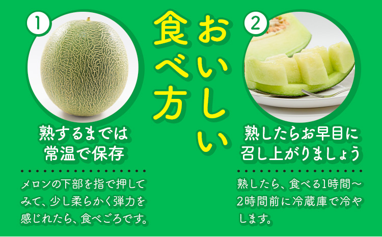 【先行予約】 メロン 肥後グリーンメロン 2玉 約 3kg ～ 4kg 株式会社Foody’s 食彩たかみ 《2026年5月下旬-7月下旬頃出荷》 熊本県 菊池市 フルーツ 果物 メロン 九州産 冷蔵 送料無料