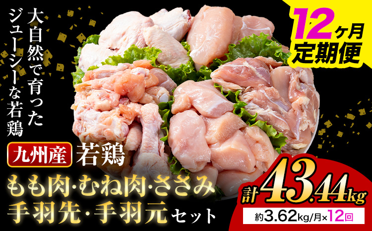 【12ヶ月定期便】 九州産若鶏もも肉 むね肉 ささみ 手羽先 手羽元 セット 計3.62kg 鶏肉 お肉 モモ肉 ムネ肉 5種類 詰め合わせ 小分け 冷凍 九州産 国産 熊本県 菊池市 送料無料《お申込み翌月から出荷》