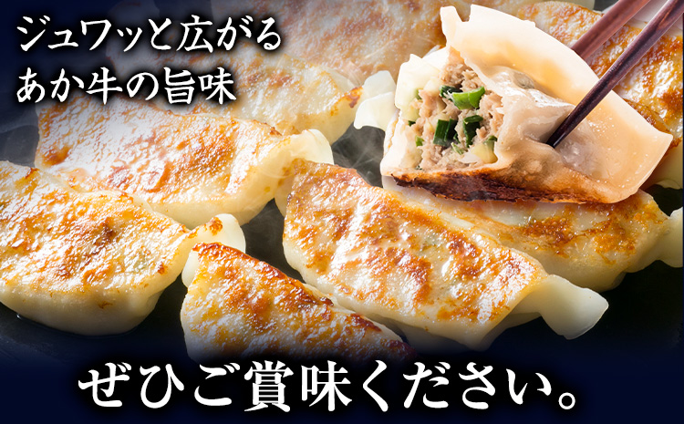 くまもと あか牛 100％ 餃子 20個入り×3(計60個) 牛肉 《30日以内に出荷予定(土日祝除く)》
