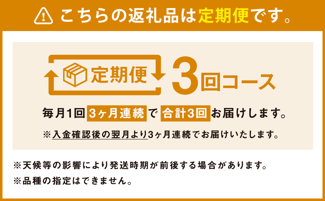 【定期便年3回】 旬の野菜 10品 セット やさい 野菜 詰め合わせ  詰合せ 定期便【養生市場】