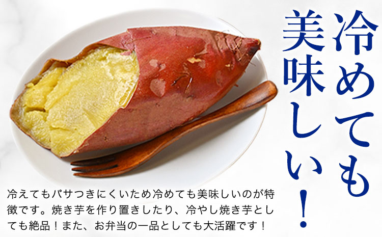 【先行予約】シルクスイート さつまいも 約5kg 日本フルーツ株式会社《2026年11月上旬-12月中旬頃出荷》熊本県 菊池市 さつまいも サツマイモ シルクスイート 熊本県産