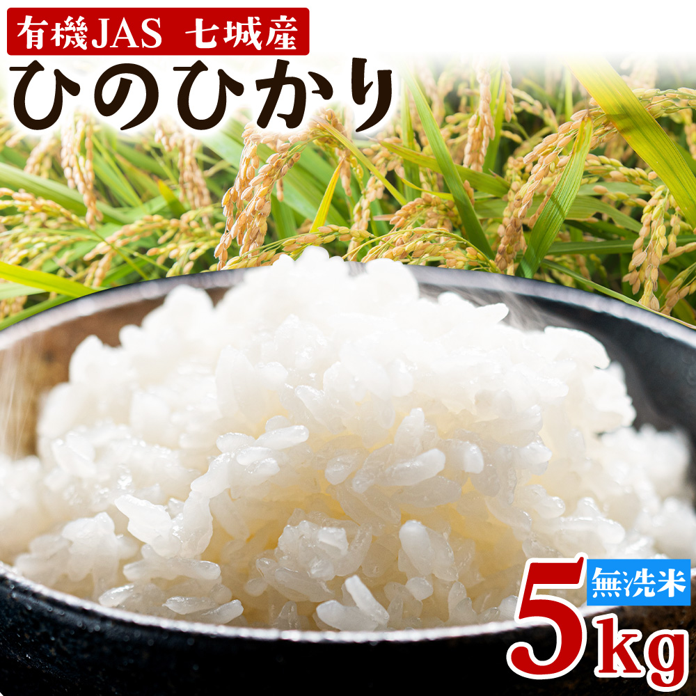 令和7年産 有機JAS 七城産ひのひかり 無洗米 5kg 《30日以内に出荷予定(土日祝除く)》渡辺農産熊本県 菊池市 米 お米 精米 ひのひかり 菊池市産 熊本県産 九州産 送料無料