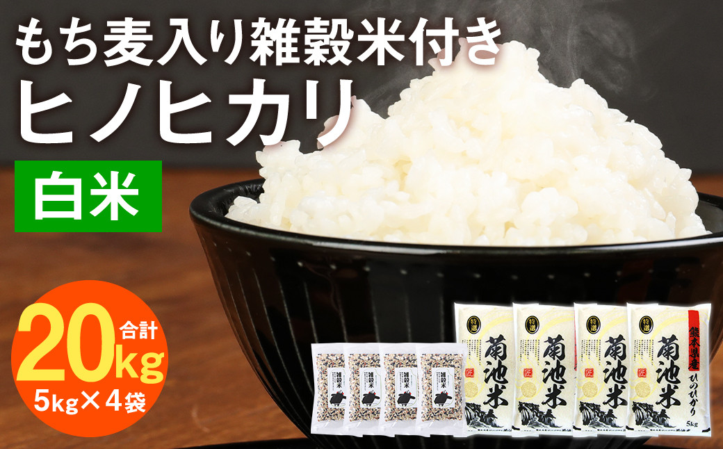 熊本県菊池産 ヒノヒカリ 精米 計20kg(5kg×4袋) もち麦入り雑穀米 計800g(200g×4袋)米 お米 低温保管 残留農薬ゼロ