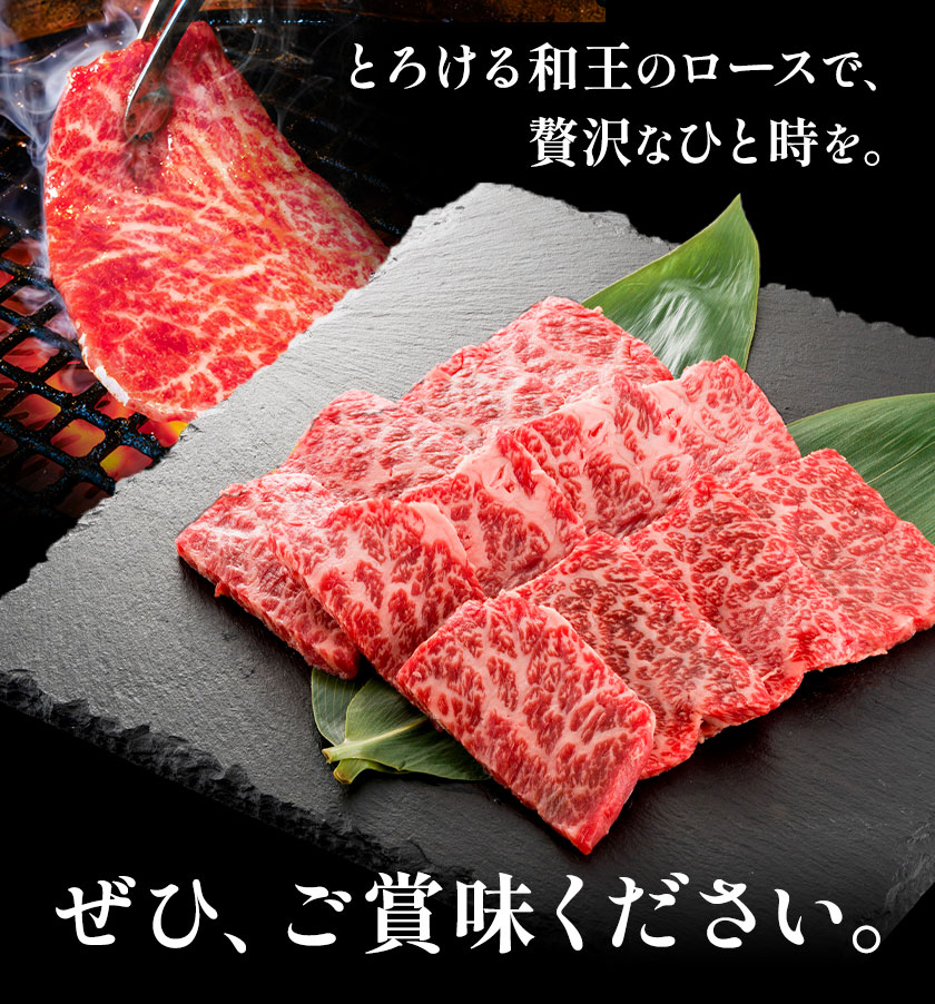 和王 ロース 焼肉用 約600g 約300g×2パック 菊池地域農業協同組合(JA菊池まんまキッチン)《90日以内に出荷予定(土日祝除く)》熊本県 菊池市 くまもと黒毛和牛 和牛 牛肉 お肉 焼き肉 熊本県産 九州産 国産 冷凍 送料無料