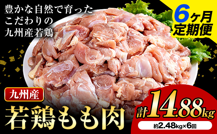 【6ヶ月定期便】 九州産若鶏もも肉 計14.88kg 約310g×8袋 肉 お肉 鶏肉 若鶏 もも肉 唐揚げ てりやき チキンカレー 棒々鶏 煮物 国産 九州 熊本県 菊池市 送料無料《お申込み翌月から出荷》