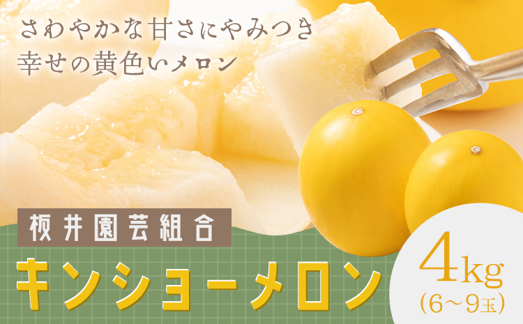 キンショーメロン 4kg(6〜9玉) メロン《4月上旬-7月上旬頃出荷》熊本県 菊池市 果物 フルーツ 金鐘 ノーネットメロン 黄色いメロン 菊池市産 熊本県産 九州産 送料無料
