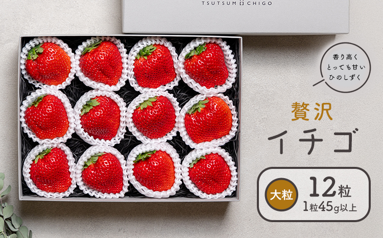 贅沢イチゴ ひのしずく 約45g×12玉 いちご イチゴ 苺《2025年12月発送予定》ヴァリアス株式会社 果物 くだもの フルーツ 希少 ギフト プレゼント 贈り物 国産 九州産 熊本県 菊池市 送料無料