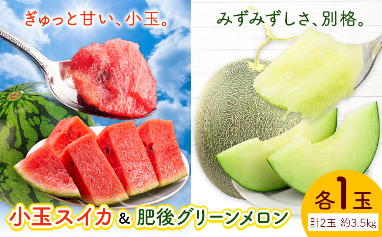 小玉スイカ&肥後グリーンメロン 食べ比べ 各1玉(計2玉 約3.5kg)  日本フルーツ株式会社 《5月中旬-7月末頃出荷》 熊本県 菊池市 西瓜 メロン 熊本県産