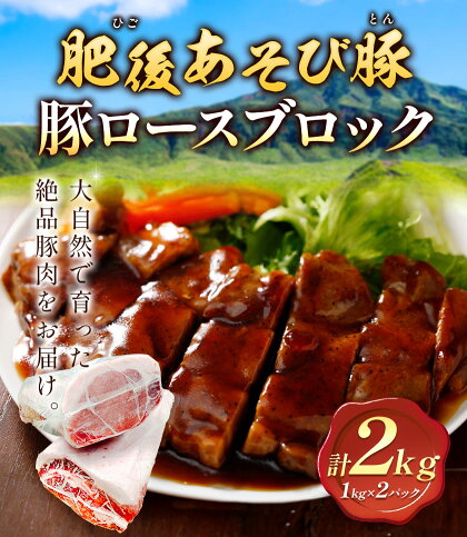 肥後あそび豚 ロースブロック 1kg×2パック 合計 2kg 《30日以内に出荷予定(土日祝除く)》熊本県 菊池市 ぶた ブタ 豚肉 肉 ブランド豚 ロース ブロック 国産 九州産 熊本県産 菊池市産 冷凍 送料無料