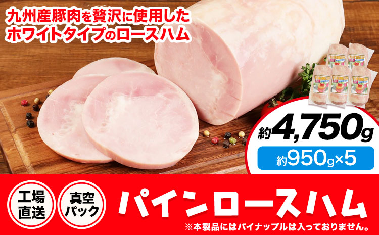 パインロースハム 5個 (1個約950g) ロース ハム ブロック 豚ロース 豚肉 真空パック 福留ハム 工場直送 冷蔵 国内製造 送料無料 《30日以内に出荷予定(土日祝除く)》