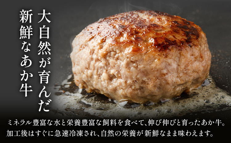 阿蘇あか牛ハンバーグ 200g 100g × 2個 株式会社LARKS《30日以内に出荷予定(土日祝除く)》ハンバーグ あか牛 牛肉 熊本県 冷凍 送料無料
