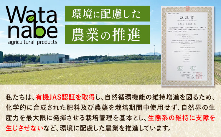有機JAS 黒米 合計1kg 200g×5袋 渡辺農産《90日以内に出荷予定(土日祝除く)》熊本県 菊池市 黒米 古代米 雑穀 雑穀米 国産 九州産 熊本県産