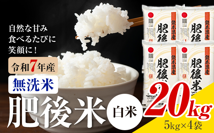 熊本県産 肥後米 無洗米 白米 20kg 1袋5kg 米 お米 令和7年産 九州産 熊本県産 ブレンド米 送料無料《30日以内に出荷予定（土日祝除く）》 無洗米 白米 米