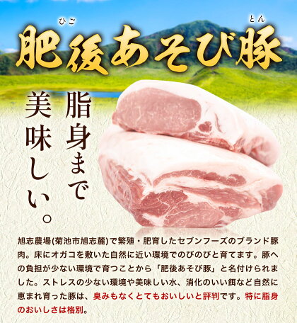 肥後あそび豚 ロースブロック 1kg×2パック 合計 2kg 《30日以内に出荷予定(土日祝除く)》熊本県 菊池市 ぶた ブタ 豚肉 肉 ブランド豚 ロース ブロック 国産 九州産 熊本県産 菊池市産 冷凍 送料無料