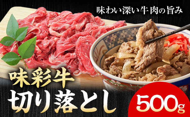 味彩牛 切り落とし 500g のぐち産業株式会社《90日以内に出荷予定(土日祝除く)》熊本県 菊池市 牛肉 スライス お肉 精肉 熊本県産 九州産 国産 冷凍 送料無料