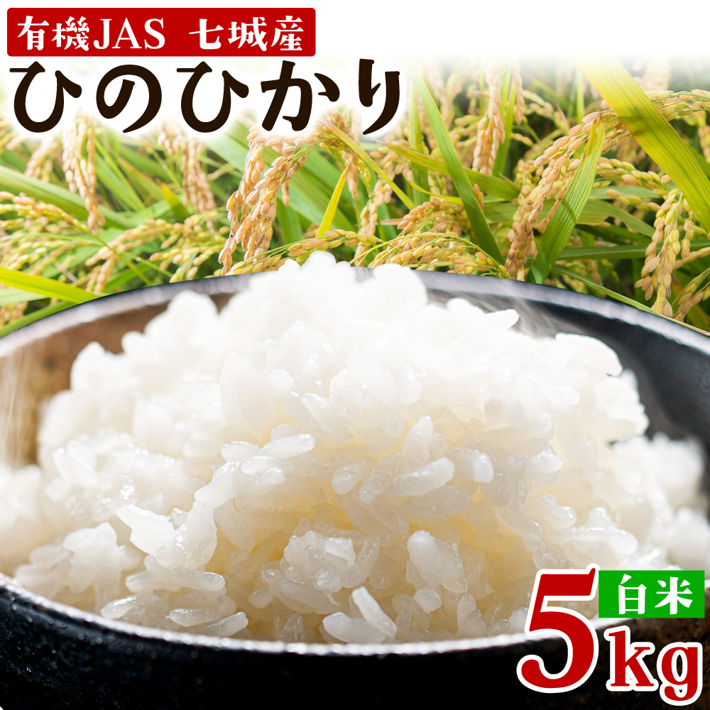 令和7年産 有機JAS 七城産ひのひかり 精米 5kg 《30日以内に出荷予定(土日祝除く)》渡辺農産熊本県 菊池市 米 お米 精米 ひのひかり 菊池市産 熊本県産 九州産 送料無料