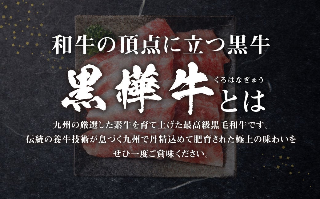 くまもと黒毛和牛 杉本本店 黒樺牛 A4~A5等級 焼肉用カルビ 合計250g