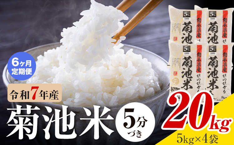 【6ヶ月定期便】令和7年産 熊本県産 菊池米 5分づき 20kg 1袋5kg 株式会社くまもとごはん 《お申込み翌月に出荷予定》米 お米 令和7年産 九州産 熊本県産  送料無料