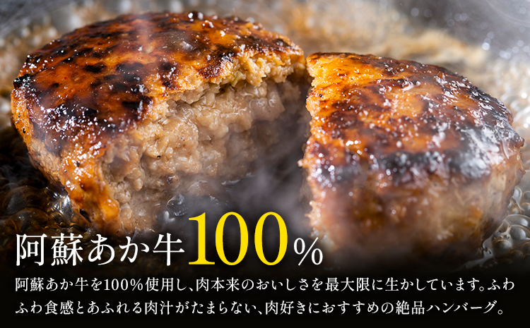 阿蘇あか牛ハンバーグ 200g 100g × 2個 株式会社LARKS《30日以内に出荷予定(土日祝除く)》ハンバーグ あか牛 牛肉 熊本県 冷凍 送料無料