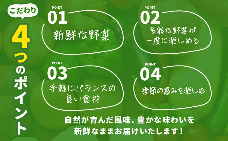 【定期便】 野菜 10品程度 計5回【メロンドーム】 定期便 5ヶ月お届け 詰め合わせ セット 国産 九州産 熊本県 菊池市 道の駅 送料無料《お申し込みの翌月から出荷》