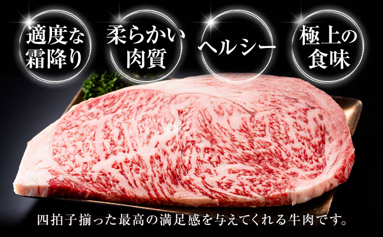 旭志牛 ヒレステーキC 140g×2枚 合計280g 有限会社旭志村ふれあいセンター 《90日以内に出荷予定(土日祝除く)》お肉 牛肉 ヒレ ステーキ 菊池ブランド牛 冷凍 送料無料