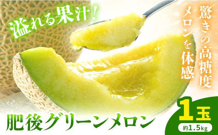 【先行予約】肥後グリーンメロン 1玉 約1.5kg 日本フルーツ株式会社《5月上旬-7月下旬頃出荷》熊本県 菊池市 メロン 熊本県産