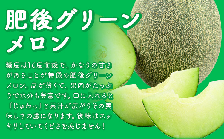 【先行予約】 メロン 肥後グリーンメロン 2玉 約 3kg ～ 4kg 株式会社Foody’s 食彩たかみ 《2026年5月下旬-7月下旬頃出荷》 熊本県 菊池市 フルーツ 果物 メロン 九州産 冷蔵 送料無料