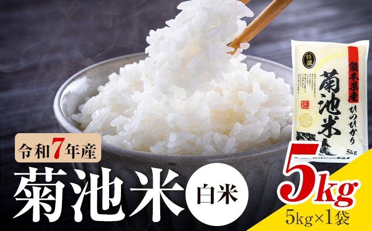 令和7年産 熊本県産 菊池米 白米 5kg 1袋5kg 株式会社くまもとごはん 《30日以内に出荷予定(土日祝除く)》米 お米 令和7年産 九州産 熊本県産  送料無料