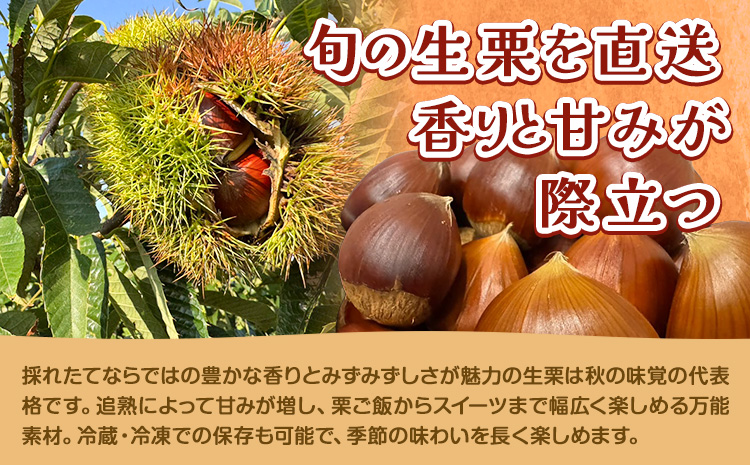 栗 むき栗 200g とくちゃん農園《30日以内に出荷予定(土日祝除く)》熊本県 菊池市 栗 くり 熊本県産 秋の味覚 果物 くだもの フルーツ デザート ご飯