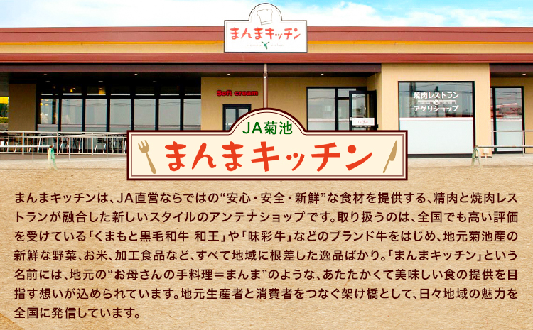和王 サイコロステーキ 約500g 菊池地域農業協同組合(JA菊池まんまキッチン)《90日以内に出荷予定(土日祝除く)》熊本県 菊池市 くまもと黒毛和牛 和牛 牛肉 お肉 ステーキ 熊本県産 九州産 国産 冷凍 送料無料