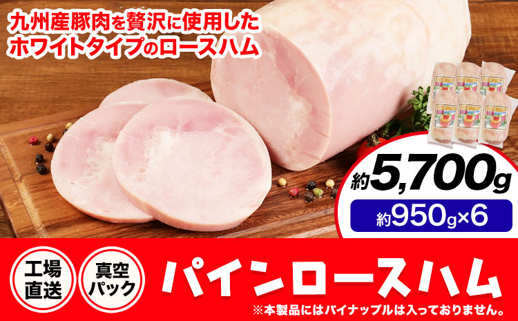 パインロースハム 6個 (1個約950g) ロース ハム ブロック 豚ロース 豚肉 真空パック 福留ハム 工場直送 冷蔵 国内製造 送料無料 《30日以内に出荷予定(土日祝除く)》