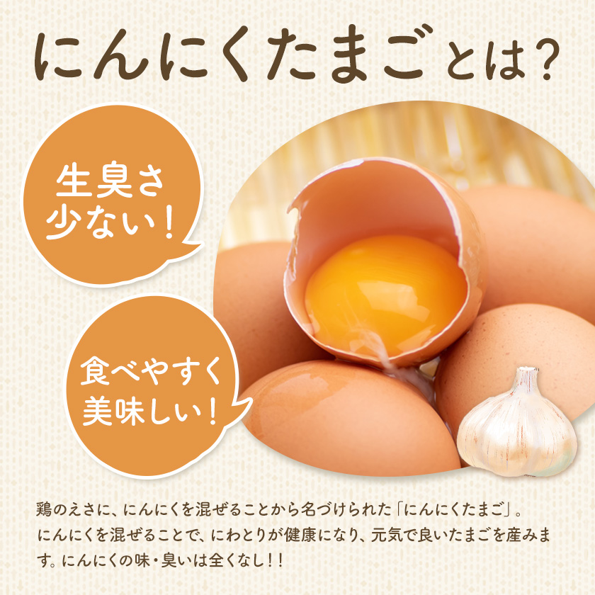 卵 にんにくたまご 内容量 30個 株式会社つづき《90日以内に出荷予定(土日祝除く)》熊本県 菊池市 卵 たまご にんにく卵 鶏卵 熊本県産 九州産 冷蔵 送料無料