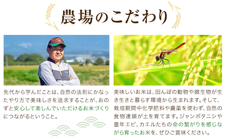 熊本県菊池産 七城物語 有機黒米（玄米）合計900g（180g×5パック）《30日以内に出荷(土日祝を除く)》