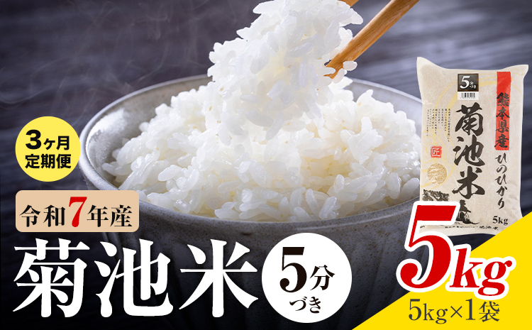 【3ヶ月定期便】令和7年産 熊本県産 菊池米 5分づき 5kg 1袋5kg 株式会社くまもとごはん 《お申込み翌月に出荷予定》米 お米 令和7年産 九州産 熊本県産  送料無料