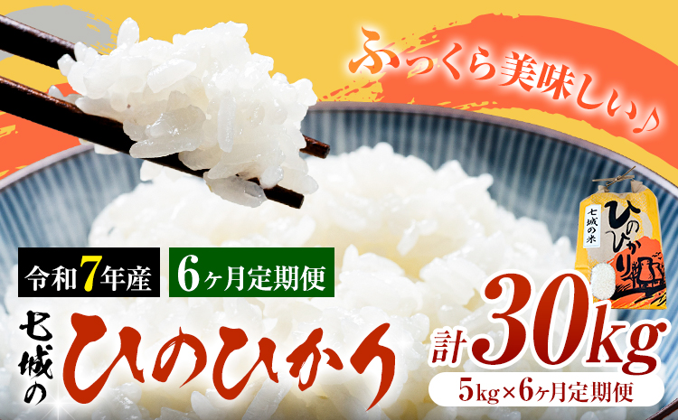 米 令和7年産 七城の ひのひかり 5kg 6ヶ月定期便 計30kg 有限会社草佳苑《90日以内に出荷予定(土日祝除く)》熊本県 菊池市 こめ 米 ひのひかり ブランド米 お米