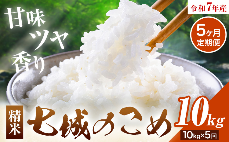 【5ヶ月定期便】令和7年産 七城のこめ 精米 5kg×2袋/月×5回 計50kg ヒノヒカリ ひのひかり 有限会社七城町特産品センター 《お申し込み月の翌月から出荷開始》 熊本県 菊池市 定期便 お米 米 白米 九州産 熊本県産