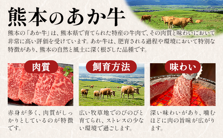 熊本県産あか牛使用 くまもとあか牛 ビーフカレー 30袋 1袋160g レトルト カレー パック 常備食 長期保存 送料無料《30日以内に出荷予定(土日祝除く)》