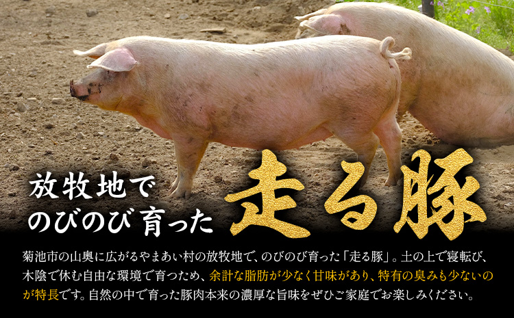 闖頑ア繧縺セ縺ゅ>縺ョ雎壼ー城俣繧ケ繝ゥ繧、繧ケ 2kg縲90譌・莉・蜀縺ォ蜃コ闕キ莠亥ョ壹(蝨滓律逾晞勁縺)縲1繝代ャ繧ッ200g 雎夊i 雎壼ー城俣 繧ケ繝ゥ繧、繧ケ貂医∩ 蟆丞縺 辭頑悽逵檎肇 荵晏キ樒肇 蝗ス逕」 蜀キ蜃 騾∵侭辟。譁