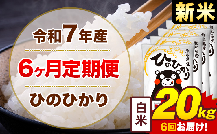 【6ヶ月定期便】新米 令和7年産 白米 20kg 米 ひのひかり《お申込み翌月から出荷》熊本県 菊池市 国産 熊本県産 白米 精米 無洗米 送料無料 ヒノヒカリ こめ お米
