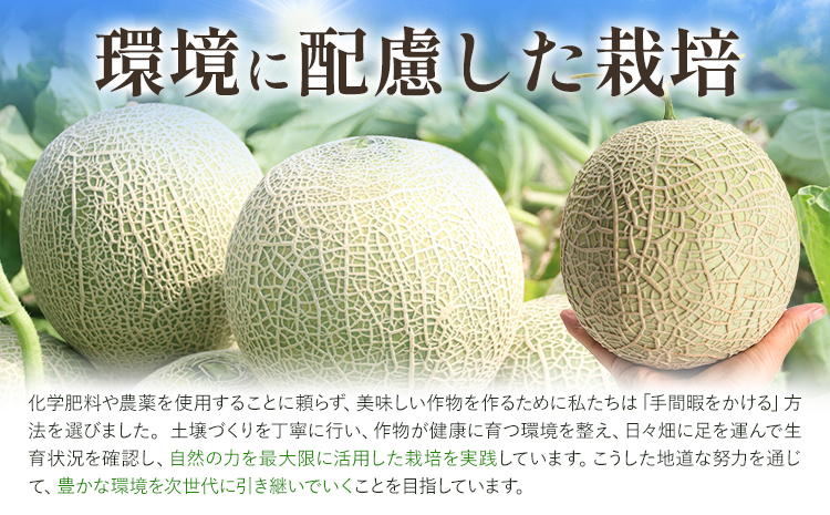 メロン 肥後グリーンメロン 大 2L ～ 3L サイズ 2玉 約1.6～2kg×2 MOTOYAMA358FARM 《2026年5月下旬-6月下旬頃出荷》 熊本県 菊池市 メロン 果物 フルーツ 九州産 国産 送料無料
