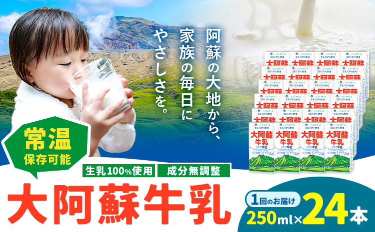 牛乳 常温保存可能 成分無調整 生乳100％使用 大阿蘇牛乳 紙パック 250ml×24本 合同会社たべたせいか《30日以内に出荷予定(土日祝除く)》熊本県 菊池市 牛乳 乳飲料 乳性飲料 ドリンク 飲み物 飲料 セット ロングライフ 熊本県産