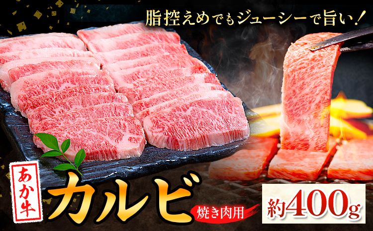 あか牛カルビ 焼き肉用 約400g 合同会社たべたせいか《30日以内に出荷予定(土日祝除く)》熊本県 菊池市 肉 牛肉 お肉 和牛 あか牛 焼き肉 焼肉 やきにく BBQ バーベキュー カルビ 熊本県産 冷凍 送料無料