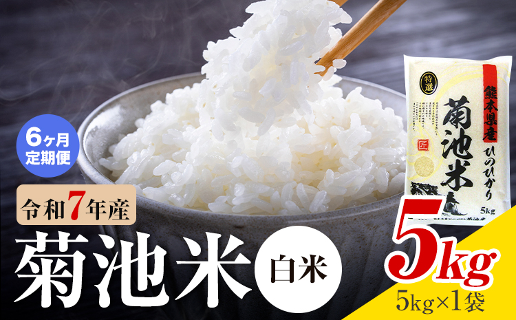【6ヶ月定期便】熊本県産 菊池米 白米 5kg 1袋5kg 米 お米 令和7年産 九州産 熊本県産 送料無料《お申込み翌月に出荷予定》 白米 米