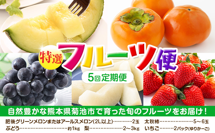【定期便5回】 厳選 フルーツ 便 ( メロン ぶどう 梨 柿 いちご ) 葡萄 ブドウ ナシ なし かき 太秋柿 イチゴ 苺 果物 くだもの セット 詰め合わせ 定期便《お申込み月の翌月から出荷開始》st-p