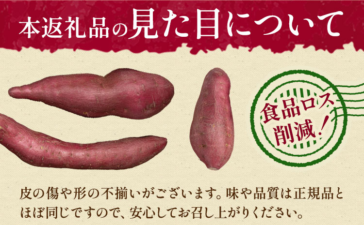 【先行予約】訳あり さつまいも 約5kg 日本フルーツ株式会社《2026年10月上旬-11月中旬頃出荷》熊本県 菊池市 さつまいも サツマイモ 訳あり 熊本県産