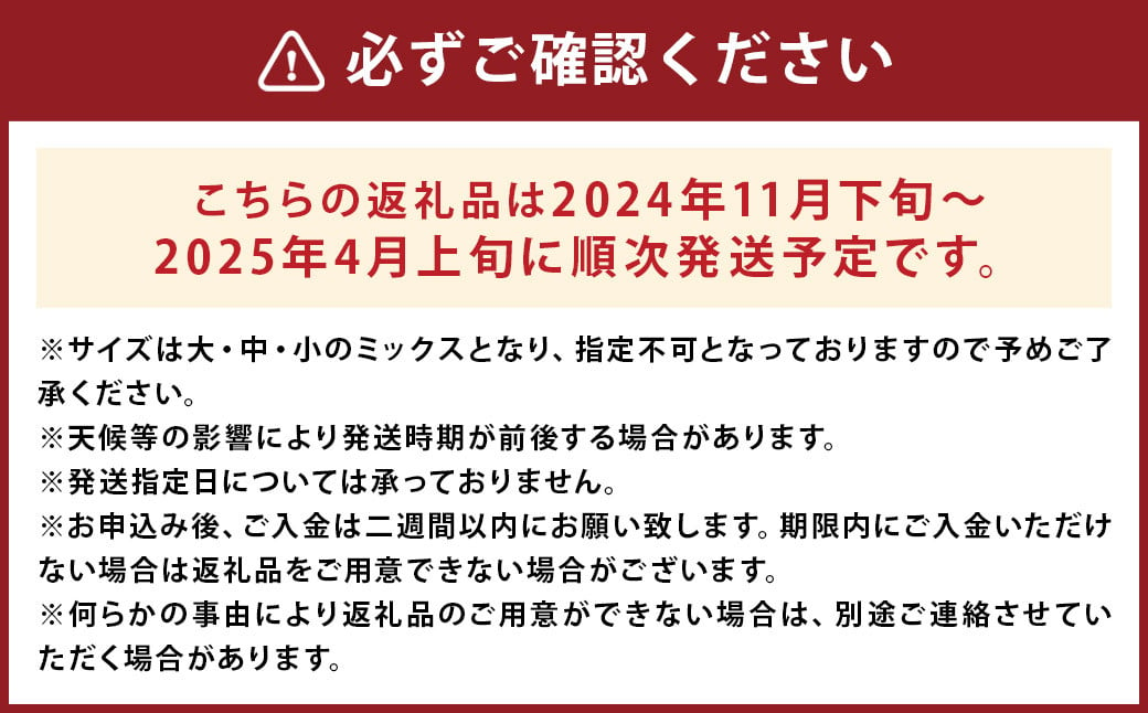 紅はるか 約3.5kg （5～25個） さつまいも サツマイモ 芋 いも 野菜 やさい 国産 【2024年11月下旬～2025年4月上旬発送予定】