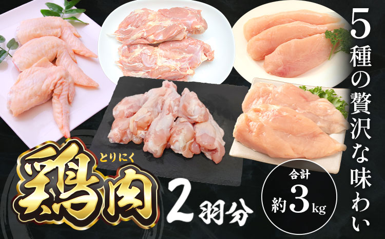 鶏肉 2羽分 約1.5kg×2羽分 合計 約3kg 植田商事有限会社 《90日以内に出荷予定(土日祝除く)》 熊本県 菊池市 鶏肉 精肉 お肉 もも肉 むね肉 ささみ 手羽先 手羽元 ハーブ鶏 熊本県産 九州産 国産 冷凍 送料無料