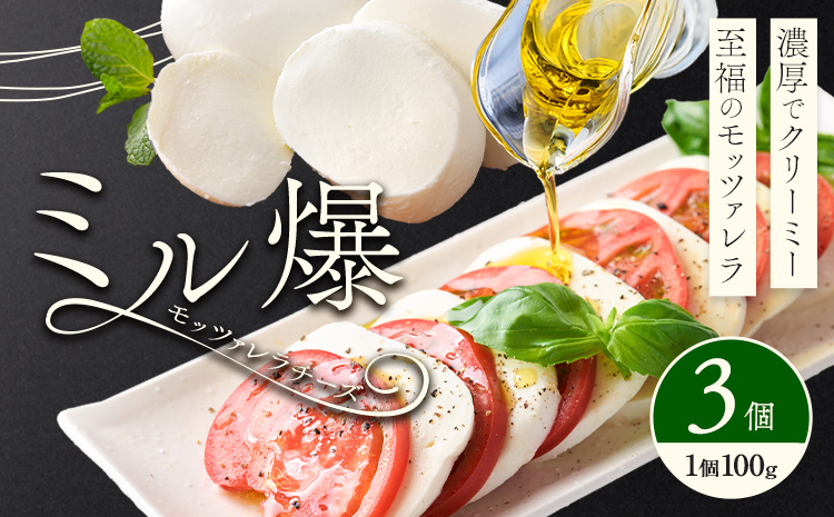 モッツァレラチーズ ミル爆 3個 チーズ モザレラ 株式会社フォルナ・ヴェスタ《90日以内に出荷予定(土日祝除く)》フレッシュ カプレーゼ おつまみ 前菜 手作り 国産 熊本県 菊池市 送料無料